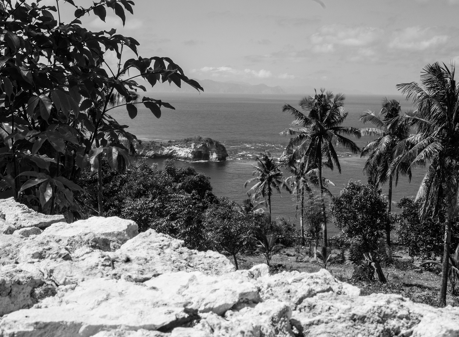 TPC_BW_RajaLima1
