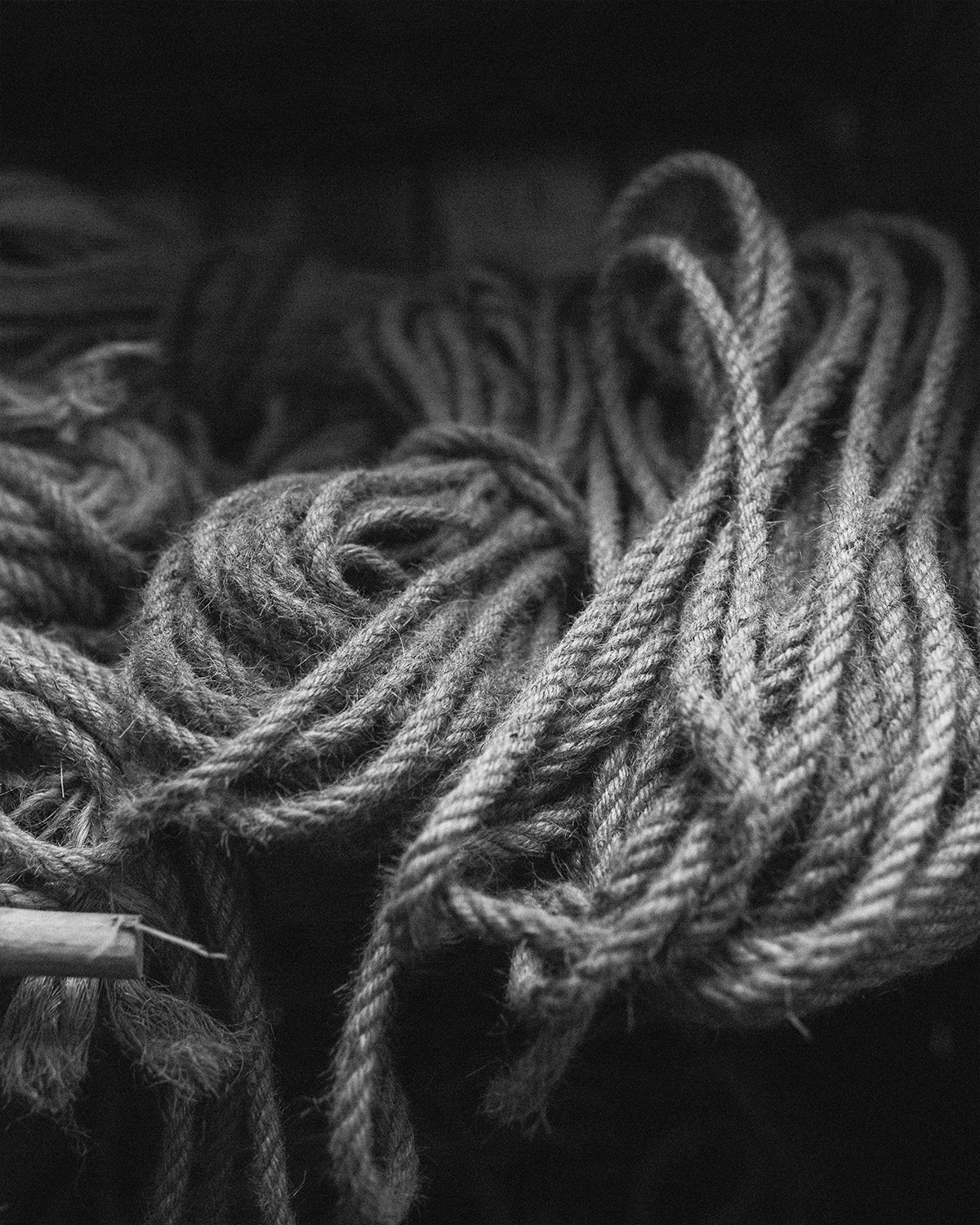 ThePunchCommunity_Featured_LaBrisa_Bali_2