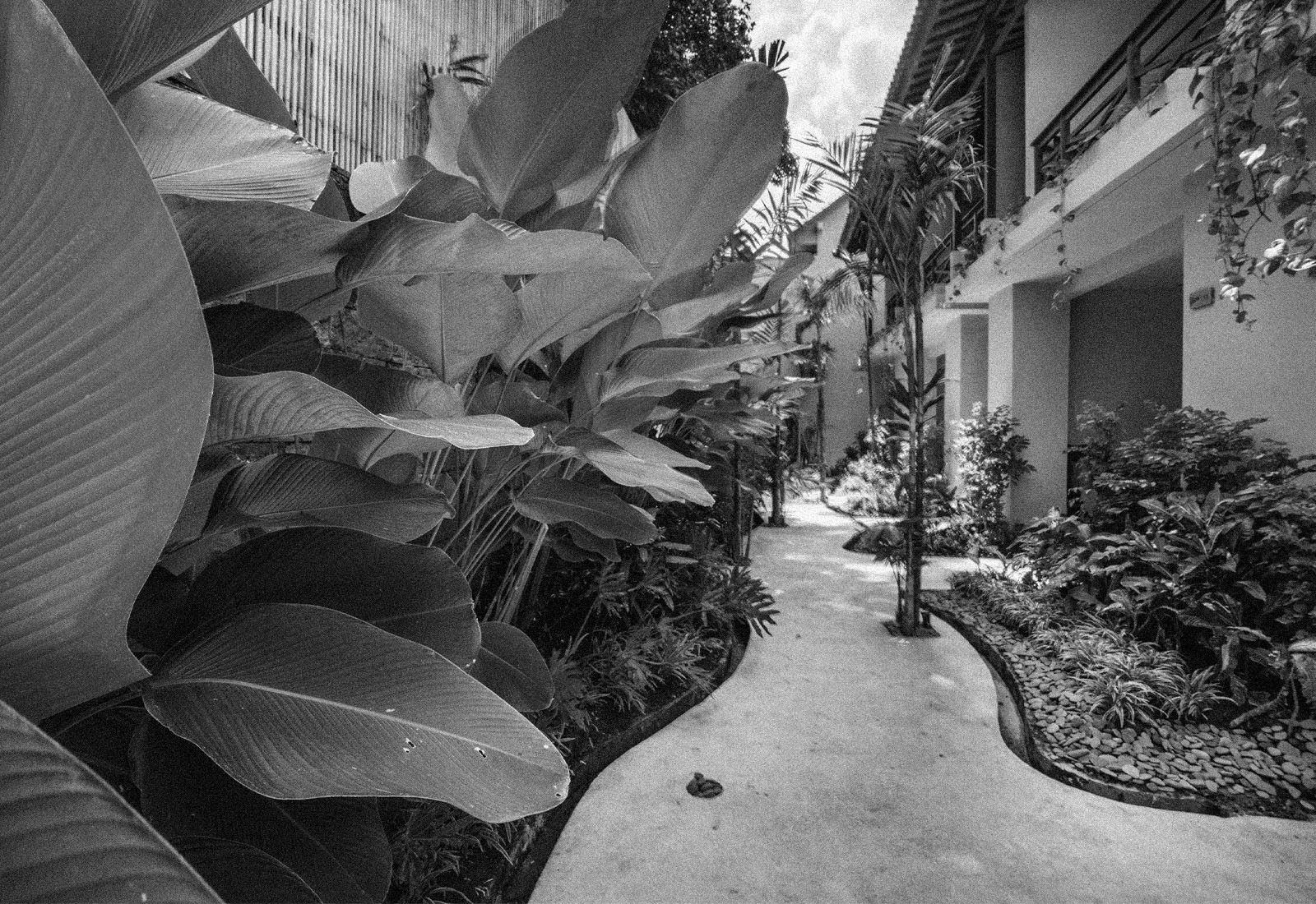 ThePunchList-Bali-Best-Hotels-Dinara1