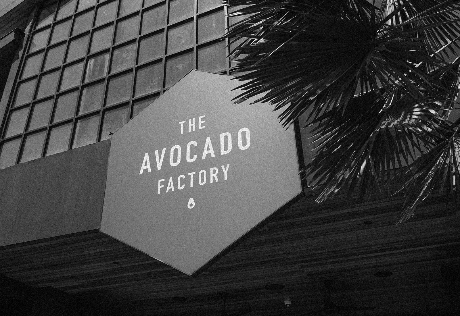 ThePunchCommunity_Featured_TheAvocadoFactory1