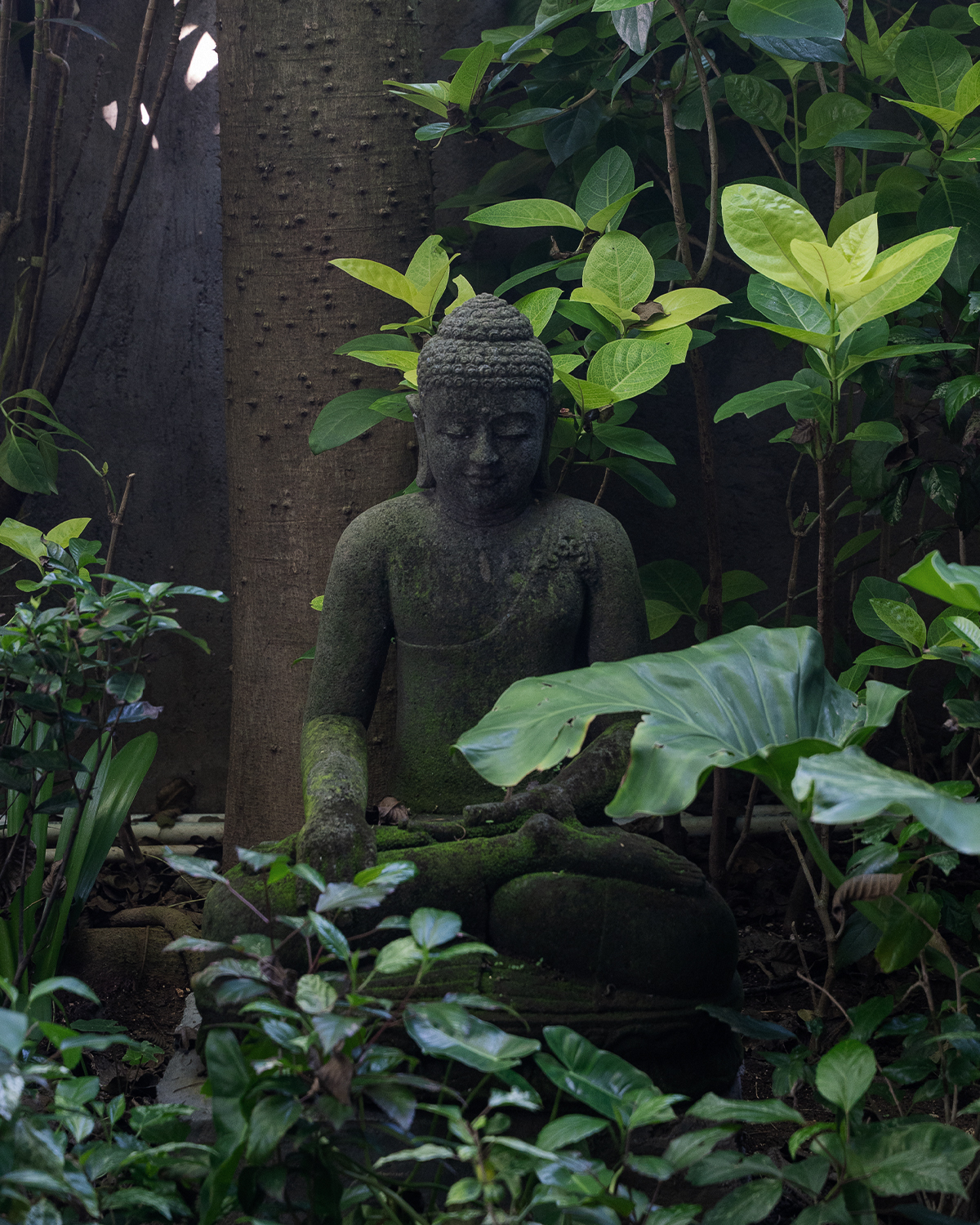 ThePunchCommunity_Featured_UluGarden3