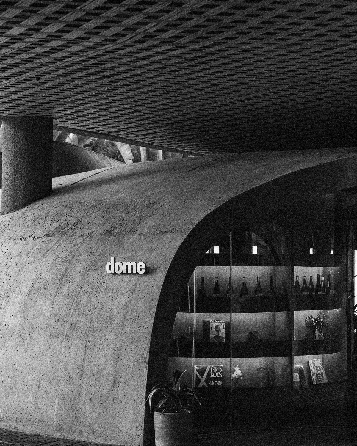 ThePunchCommunity_Featured_Dome2