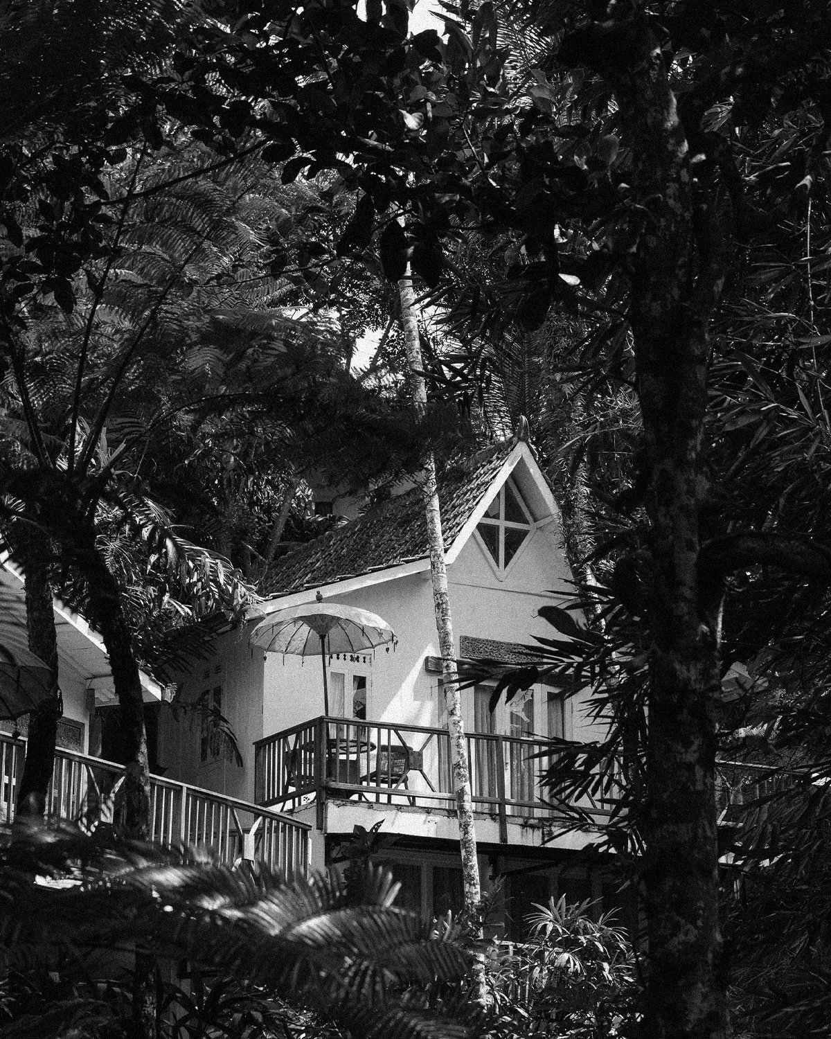 ThePunchCommunity_Featured_SebatuSanctuary7