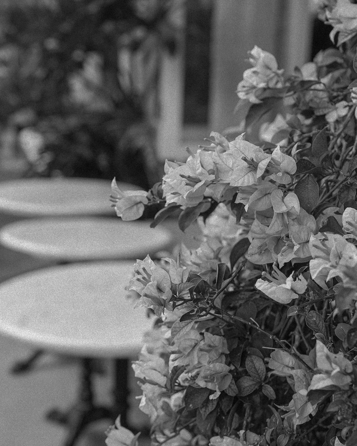 ThePunchCommunity_Featured_Watercress2