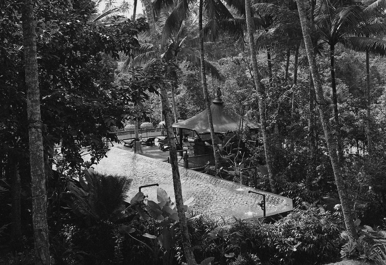 ThePunchCommunity_Featured_CapellaUbud19