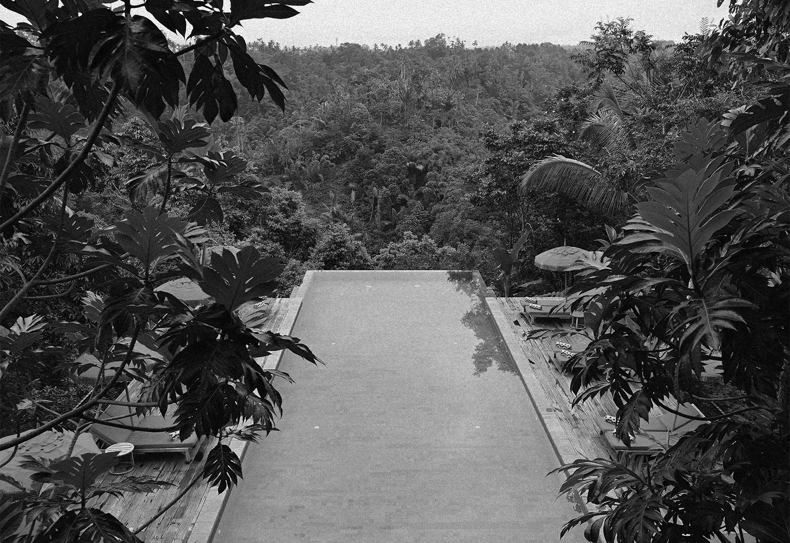 ThePunchCommunity_Buahan_ABanyanTreeEscape_60