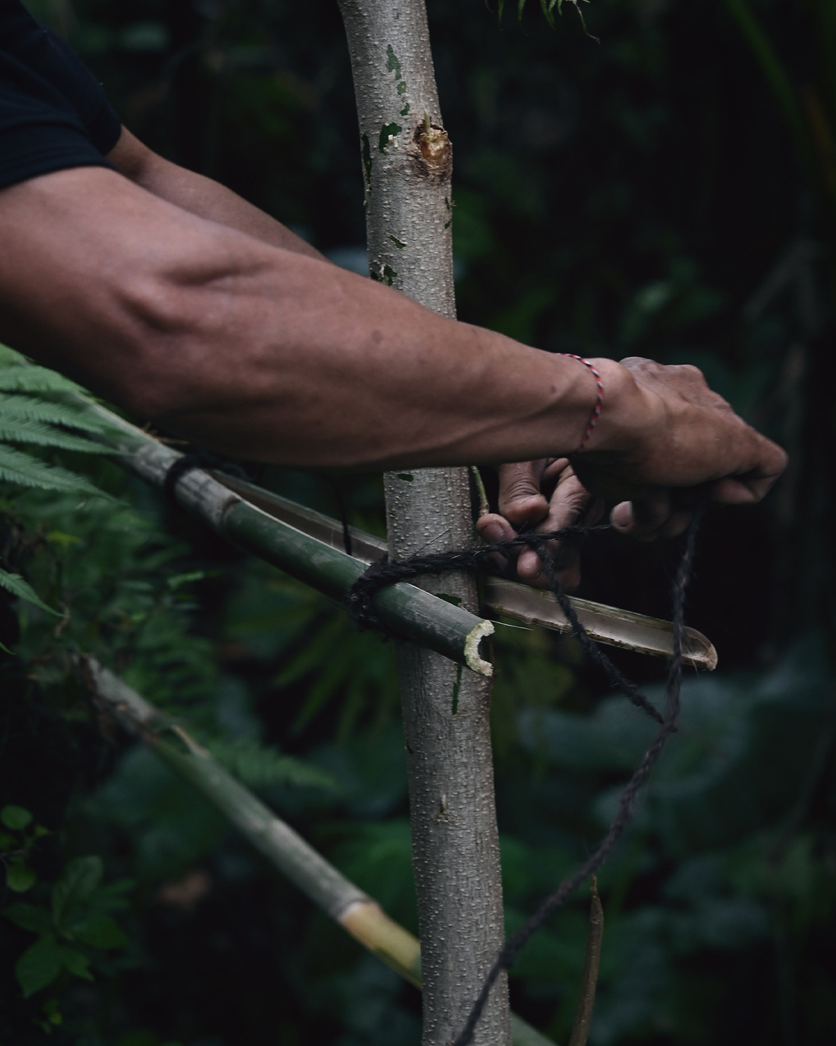 ThePunchCommunity_Buahan_ABanyanTreeEscape_21