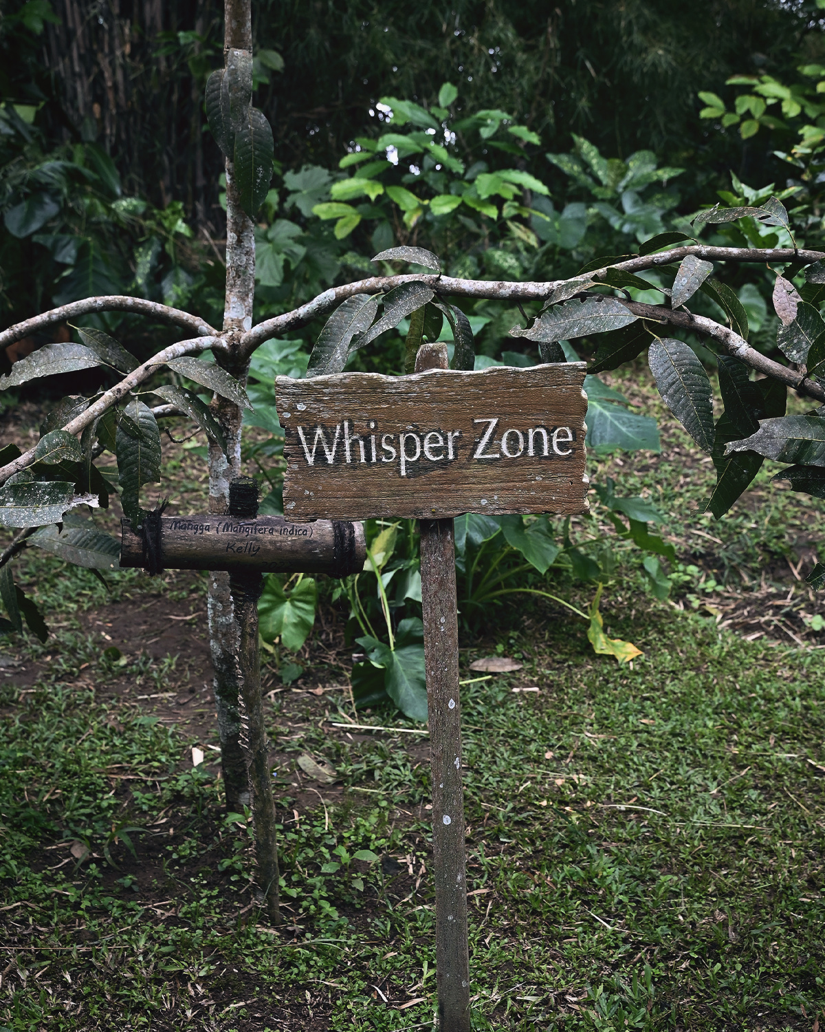 ThePunchCommunity_Buahan_ABanyanTreeEscape_22
