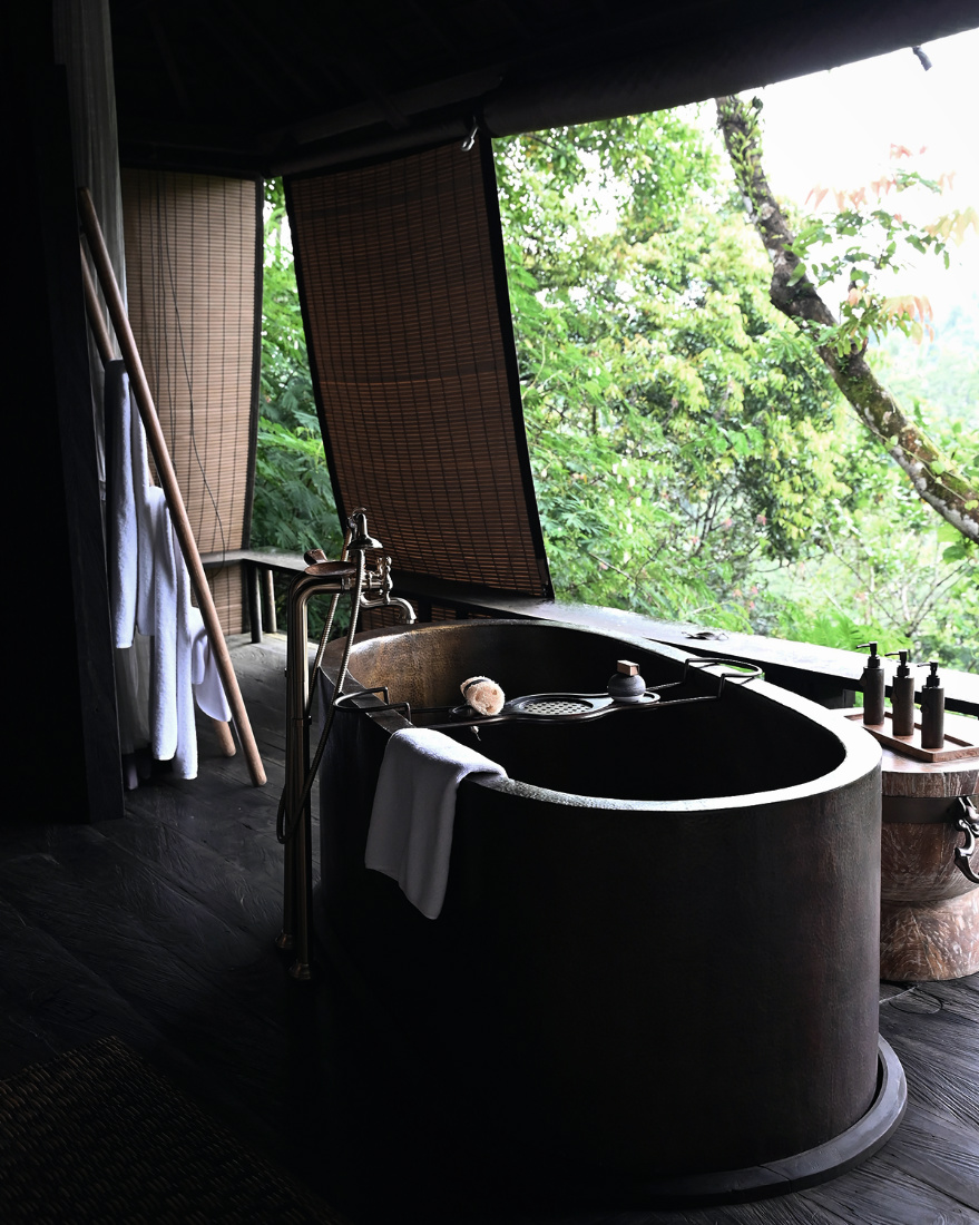 ThePunchCommunity_Buahan_ABanyanTreeEscape_38