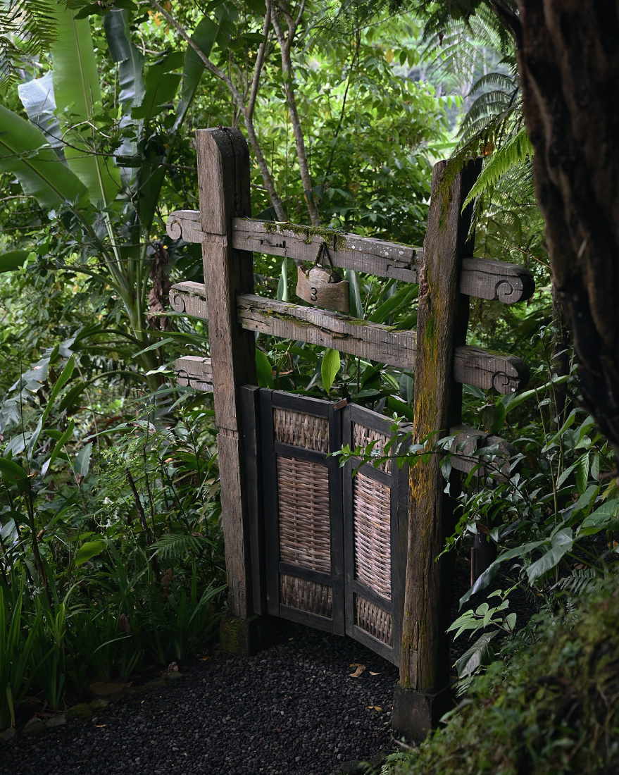 ThePunchCommunity_Buahan_ABanyanTreeEscape_61