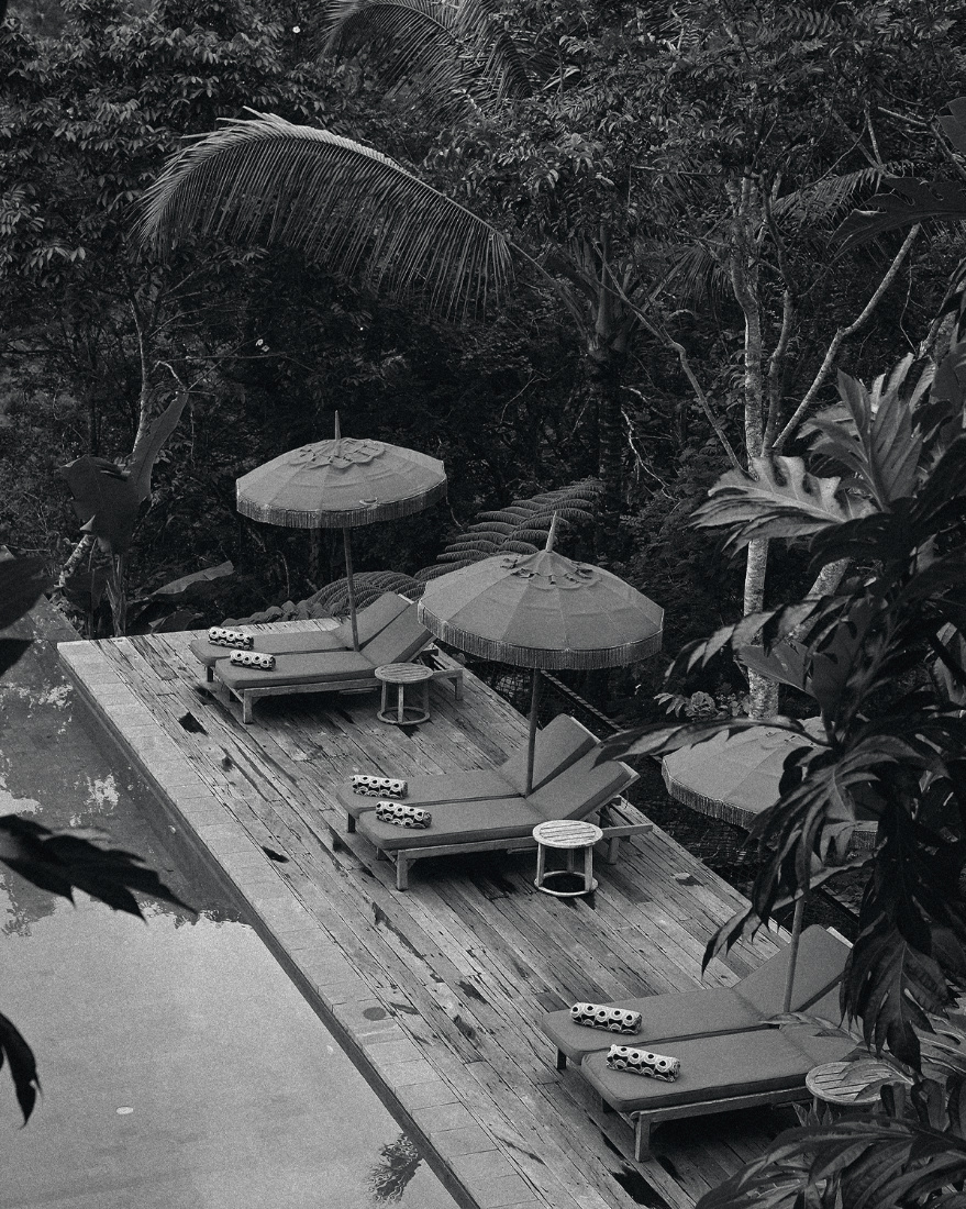ThePunchCommunity_Buahan_ABanyanTreeEscape_65