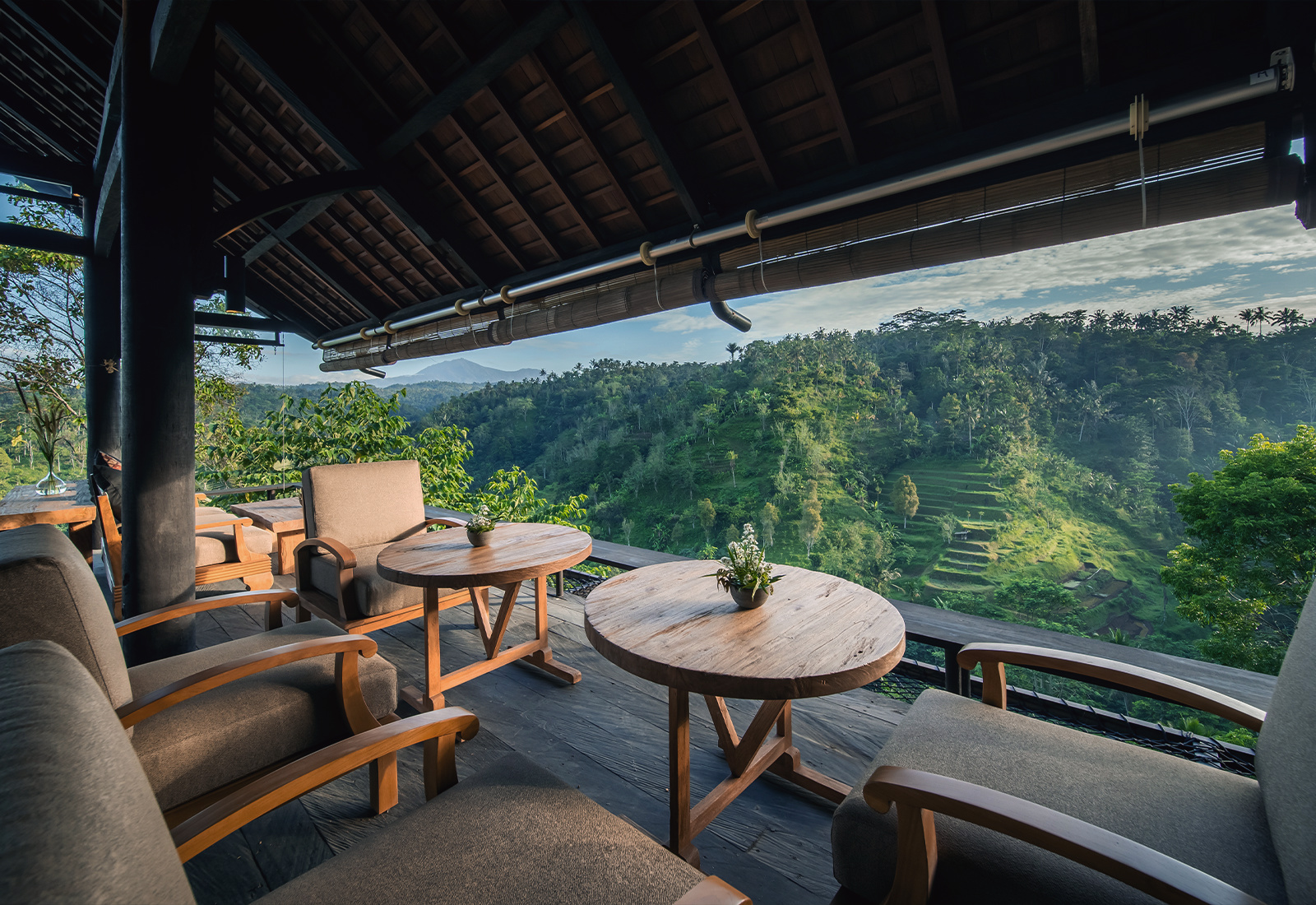 ThePunchCommunity_Buahan_ABanyanTreeEscape_Hero19