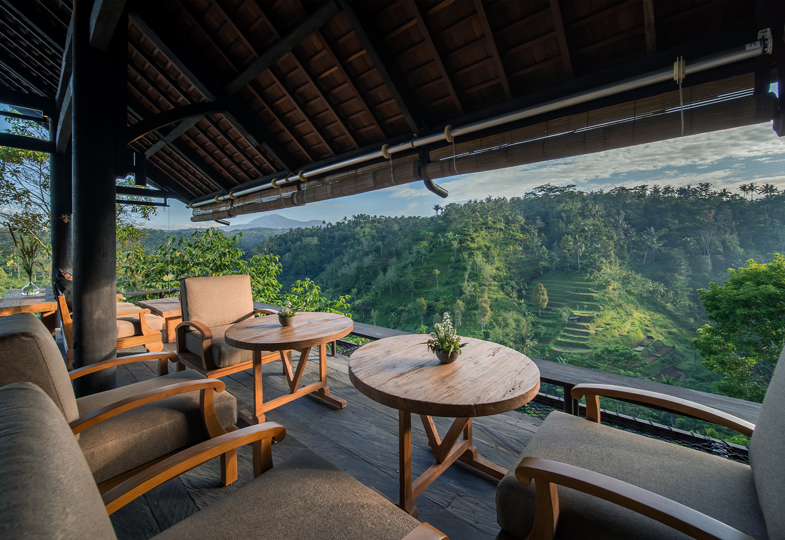 ThePunchCommunity_Buahan_ABanyanTreeEscape_Hero19