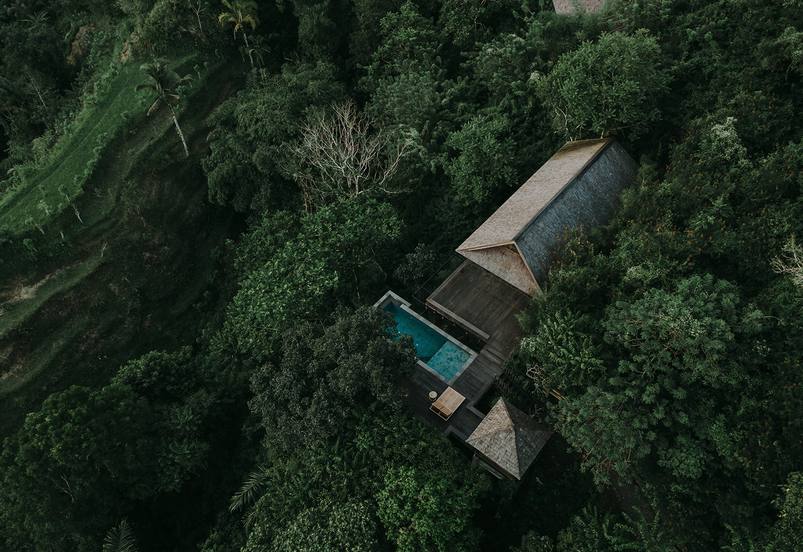 ThePunchCommunity_Buahan_ABanyanTreeEscape_Hero3