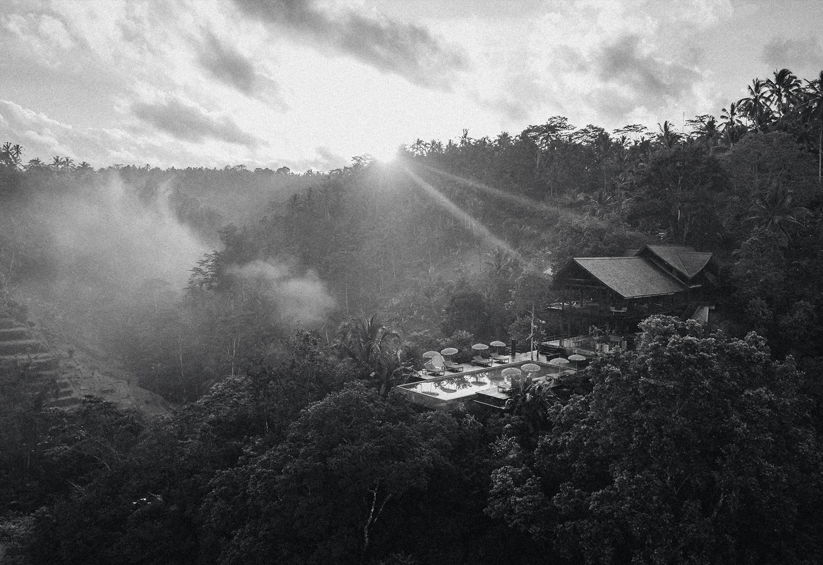 ThePunchCommunity_Buahan_ABanyanTreeEscape_Hero6