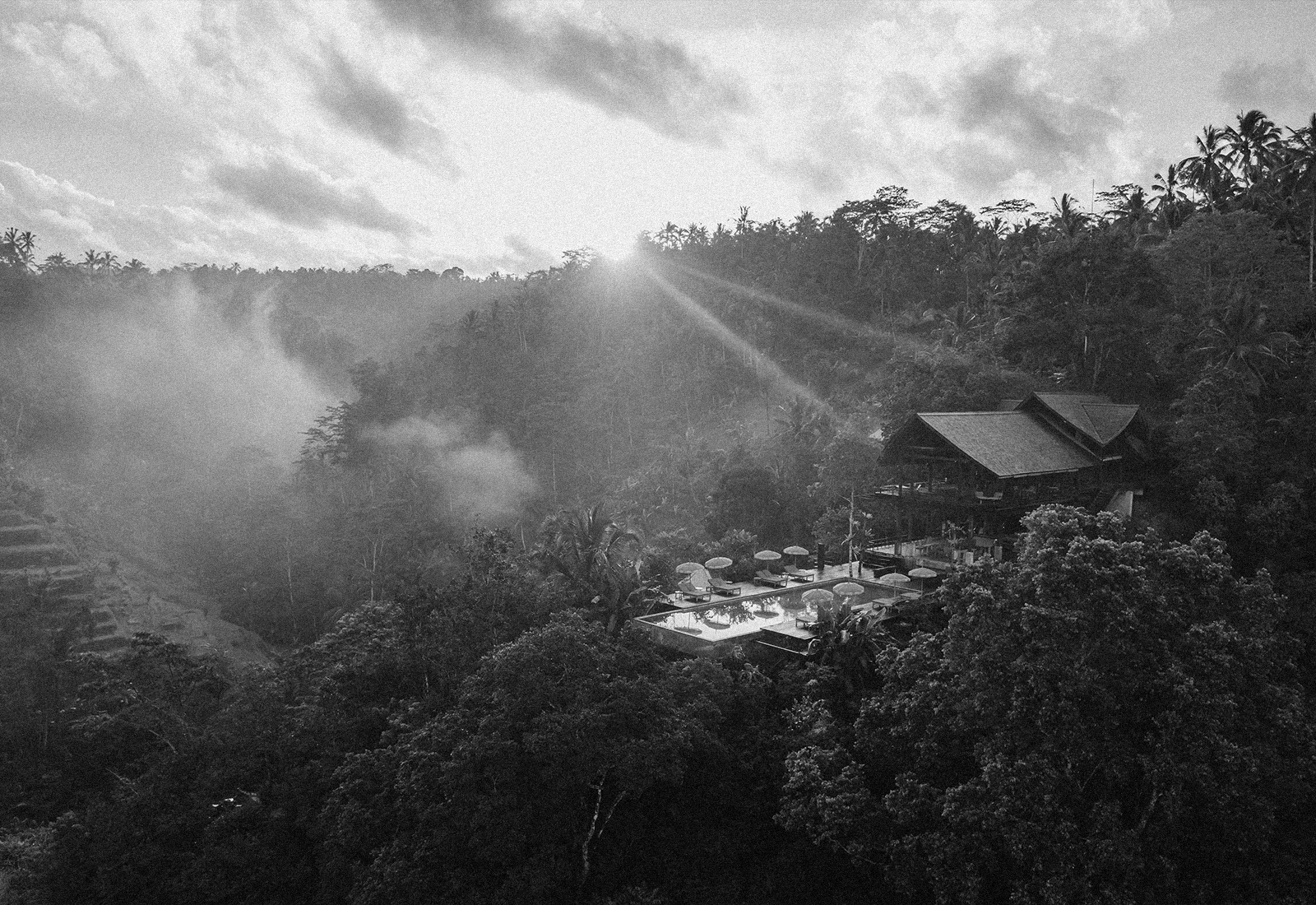 ThePunchCommunity_Buahan_ABanyanTreeEscape_Hero6
